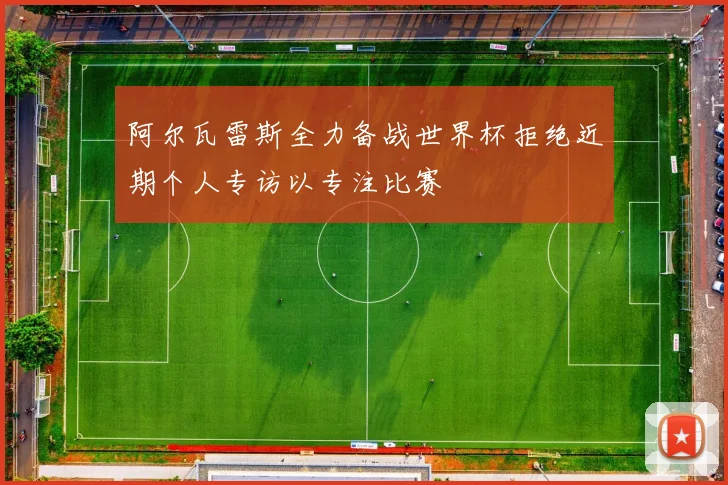 阿尔瓦雷斯全力备战世界杯拒绝近期个人专访以专注比赛